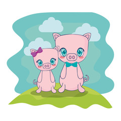 cute pigs couple characters vector illustration