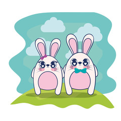 cute rabbits couple characters vector illustration