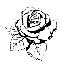 rose_flower_1