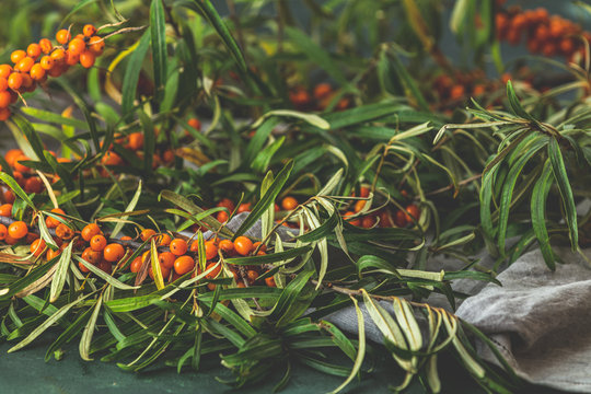 Pipe sea buckthorn berries on a branch with leaves on sackcloth rag over dark green concrete background.