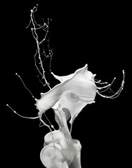 Splash paint or milk isolated in black background