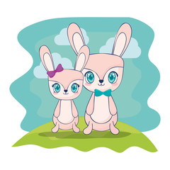 cute rabbits couple characters vector illustration