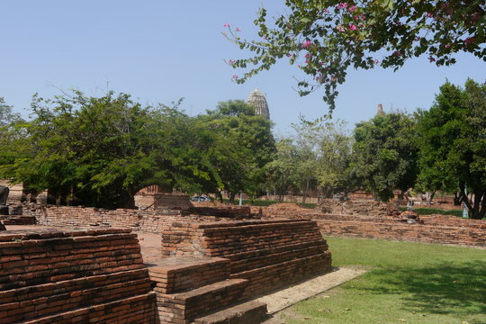 Ruinen und tropische Vegetation in Ayutthaya in Thailand