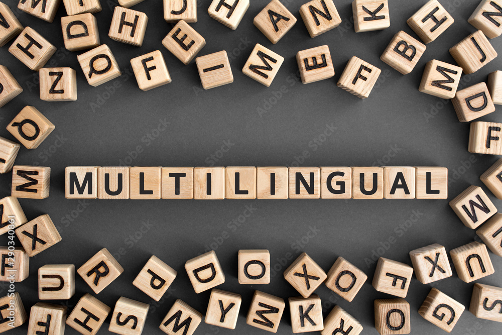 Poster multilingual - word from wooden blocks with letters, use many different languages multilingual conce