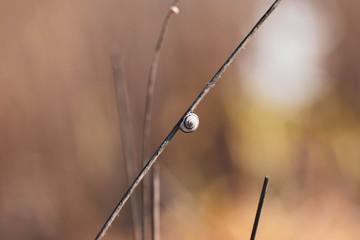 Beautiful nature, sea side, Famagusta, Cyprus