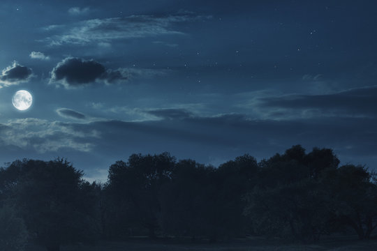 big moon on a dark background