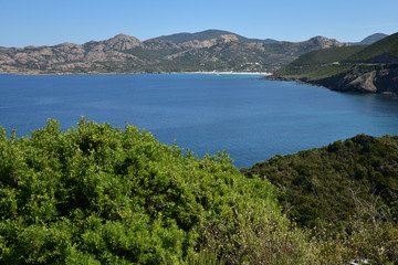 Fototapeta na wymiar Baie de l'Ostriconi en Corse