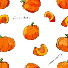 seamless background of vector isolated pictures of whole pumpkins and pieces, doodles  