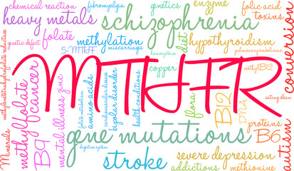 MTHFR Word Cloud on a white background. 