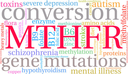 MTHFR Word Cloud on a white background. 