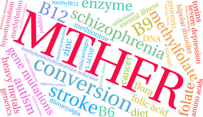 MTHFR Word Cloud on a white background. 