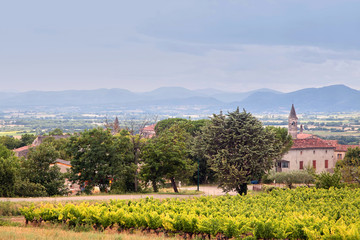 Fototapeta na wymiar View of the vineyard and the old town of Barjac, southern France. Beautiful landscape with a bell tower and mountains on the horizon