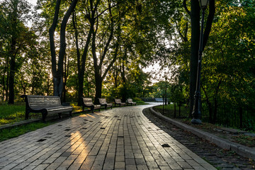 alley in the park