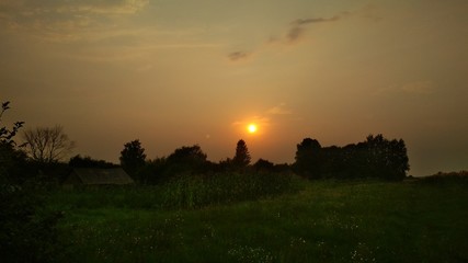 sunset over field