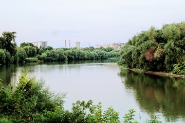 Fototapeta na wymiar Image of the river with willows