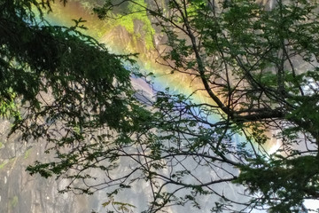 Bright colorful rainbow caused by spray of a waterfall in a forest