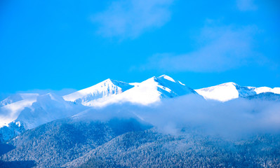 snowy mountains in the fog