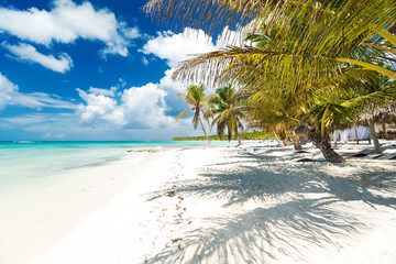 White sandy beach with sea and palms