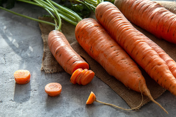 Fresh carrots with leaves on a gray background