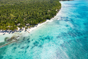 Aerial view on tropical island with coconut palm trees and caribbean sea