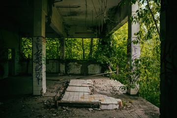 Lost Place eines ehemaligen Seehotels. Herausgebrochene Wände zeigen die Natur wie sie ihren Raum...