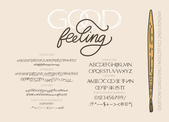 Hand drawn calligraphic vector duo font. Distress grunge texture. Modern script calligraphy type pair. ABC typography latin alphabet.