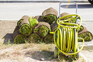 Fototapeta na wymiar rolled grass for laying a lawn with a bright garden hose.