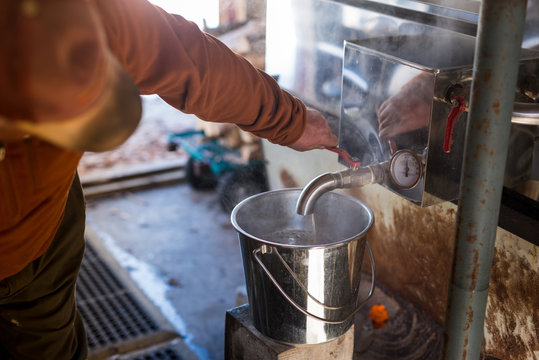 Old rugged maple syrup farmer closes valve as delicious hot maple syrup is taken from evaporator