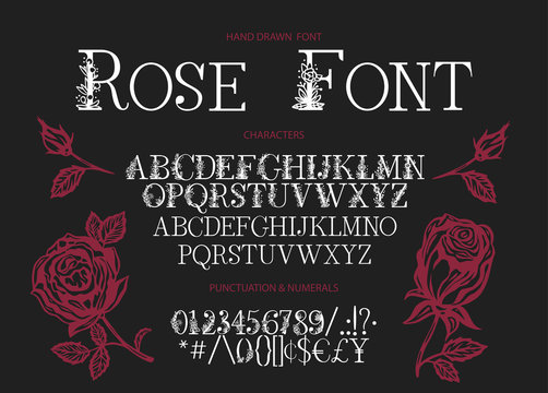 Hand drawn calligraphic vector serif font. Distress ornate floral letters. Modern calligraphy type set. ABC typography latin alphabet with rose illustrations.