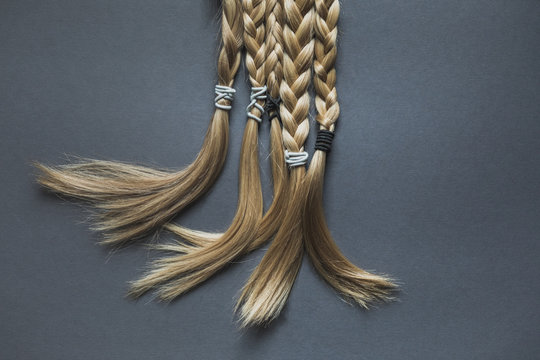Chopped off blond braided hair on a grey background