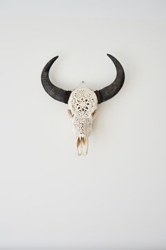 Trophy on the wall.