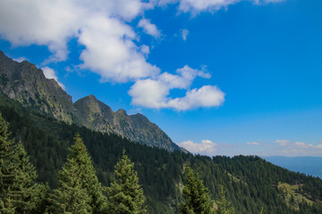 Fototapeta premium Südtirol - Alto Adige - Southtyrol 2019
