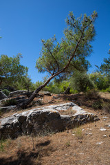 Fototapeta premium Archaeological site Aliki