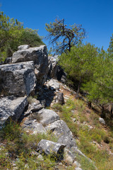 Archaeological site Aliki