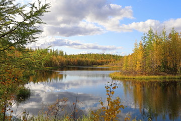 Fototapeta na wymiar Forest lake and yellow foliage on a Sunny autumn day in Yamal