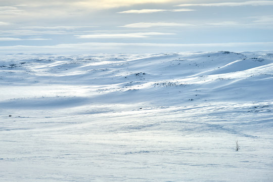 Patters of Snow