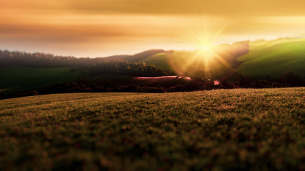 sun © Bogdan