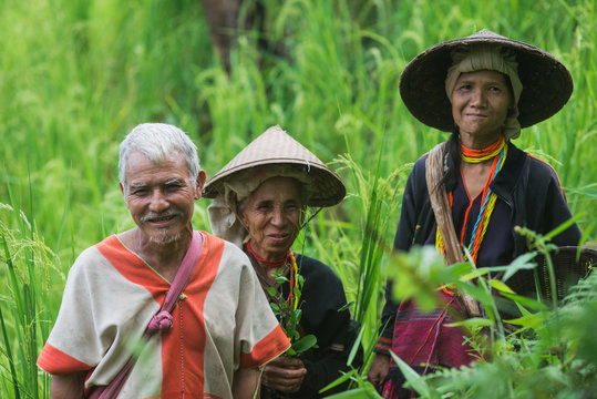 Karen villagers harvest vegetables and herbs