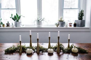 Candlesticks on Table and Assorted Cacti on Windowsill in Dining Room