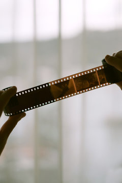 Looking at the developed film roll