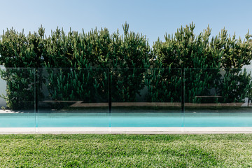 Lap pool, lush grass and border trees detail