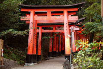 Fushimi Inari Shrine taisha gates (senbon torii). Fushimi Inari Shrine is an important Shinto shrine and famous sight in southern Kyoto