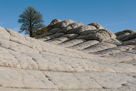 View of eroded sandstone rock formations at dawn, White Pocket, Arizona