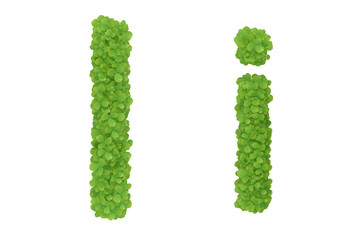 Letter I. Alphabet nature leaf font - 3D iIlustratión