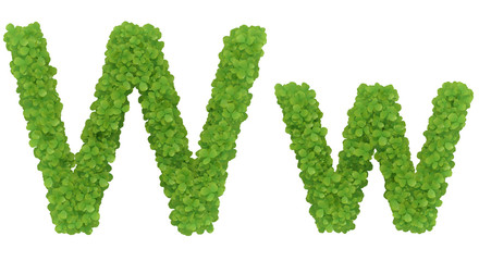 Letter W. Alphabet nature leaf font - 3D iIlustratión
