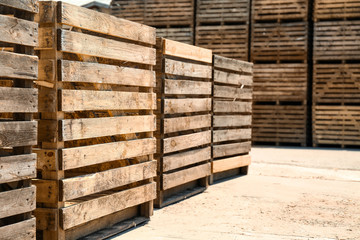 Old empty wooden crates outdoors on sunny day. Space for text