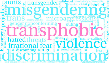 Transphobic Word Cloud on a white background. 