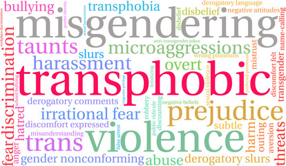 Transphobic Word Cloud on a white background. 