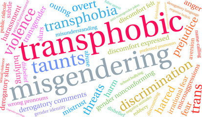 Transphobic Word Cloud on a white background. 