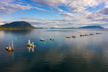 Reefnet Salmon Fishing Boats Off Lummi Island, Washington. Wild Pacific salmon reefnet fishing is an historical Pacific Northwest fishing method- the oldest known salmon net fishery in the world.